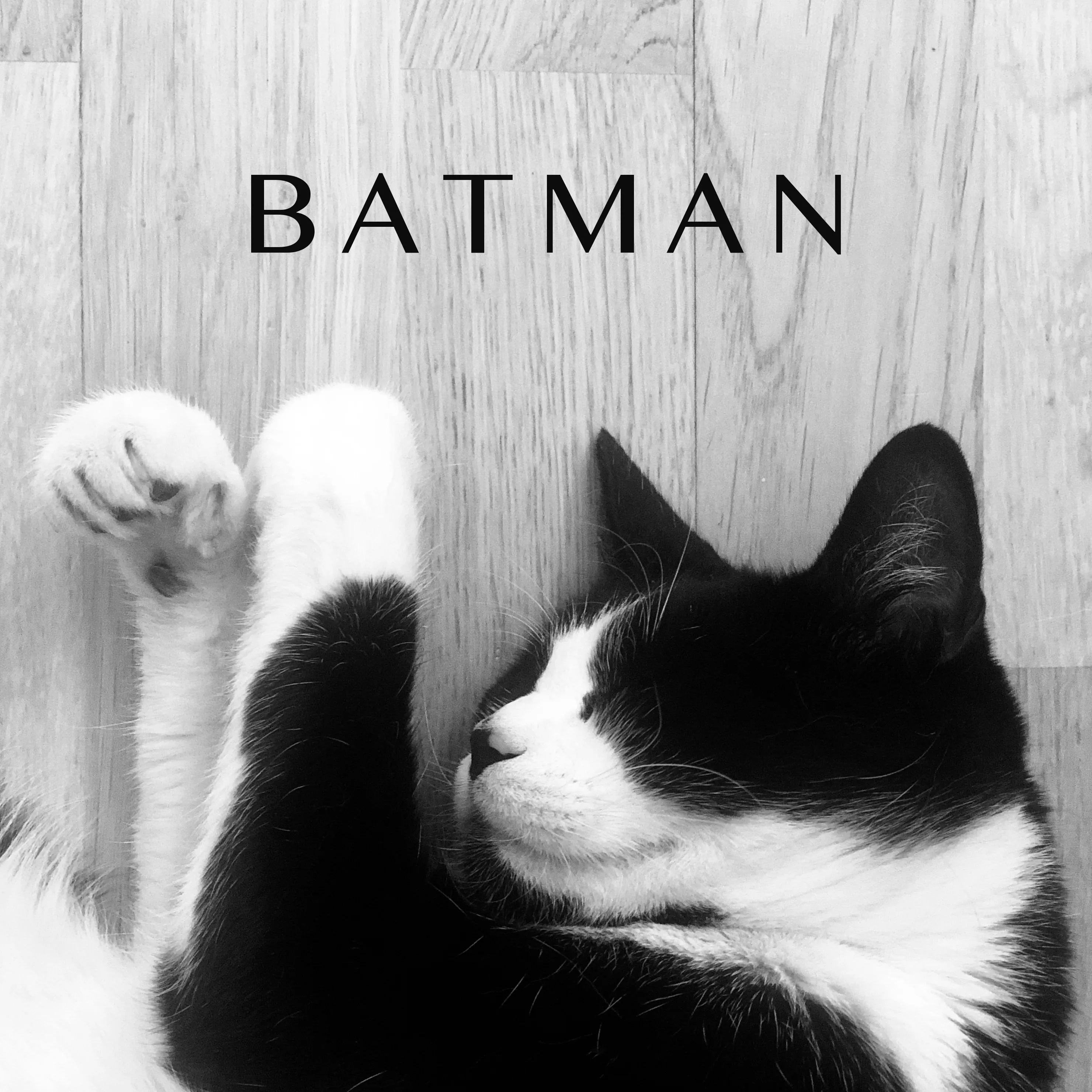 BATMAN