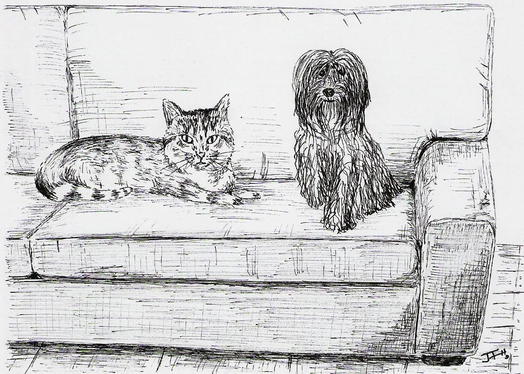 La Lasie y el gato