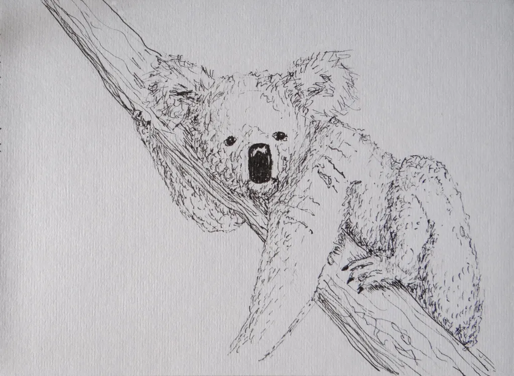 Un Koala