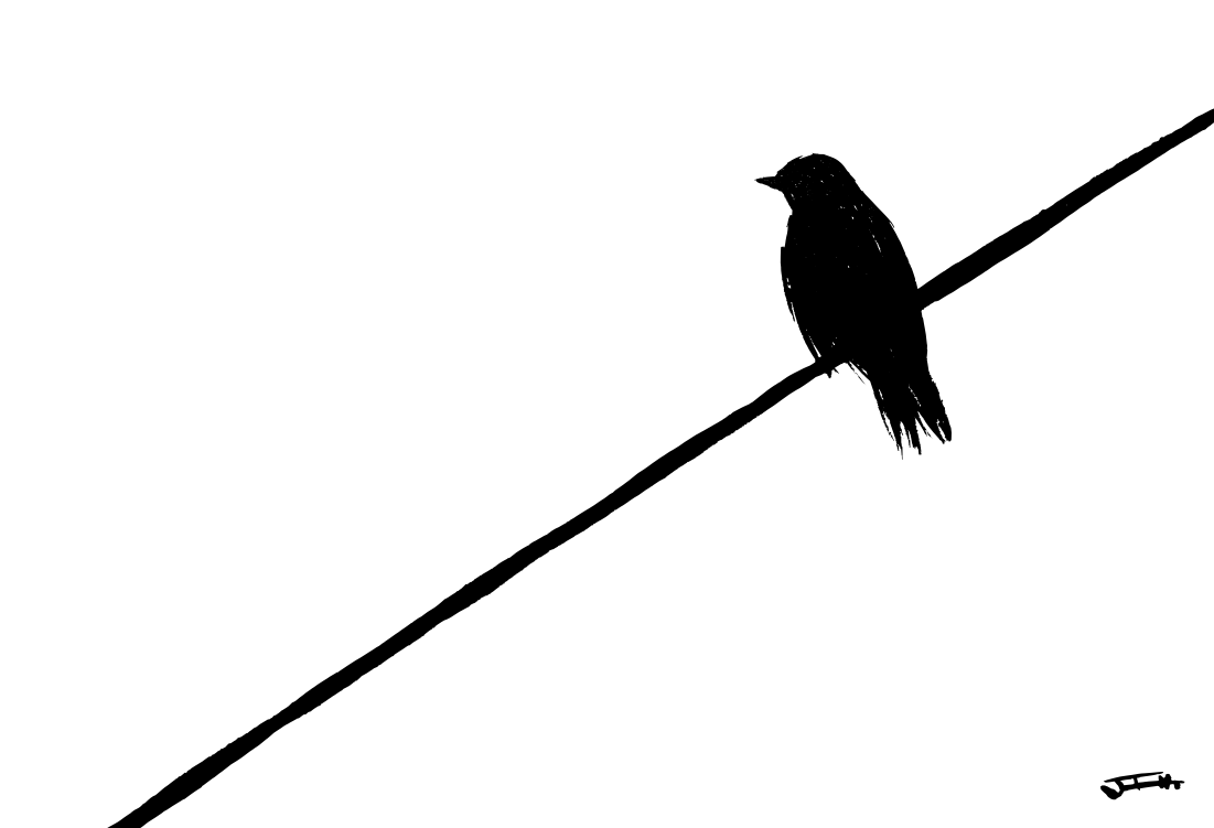 La vida en solitario