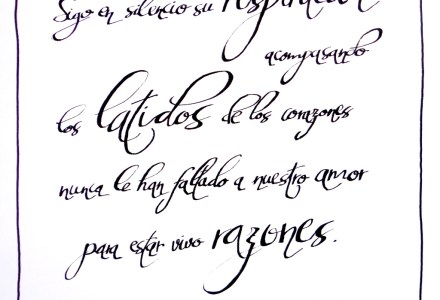 Seda y Hierro - Antonio Vega