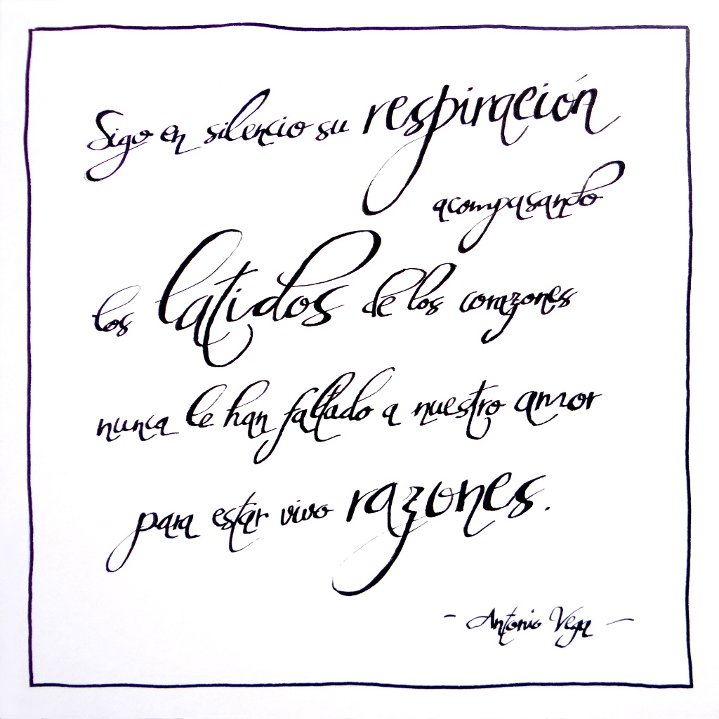 Seda y Hierro - Antonio Vega